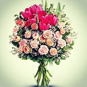 Meet your Posher, Masooma